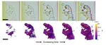 Tomographic color Schlieren refractive index mapping for computed axial lithography